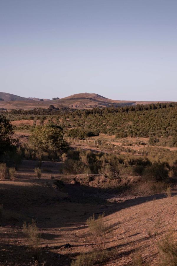 Posada La Serena Мінас Екстер'єр фото